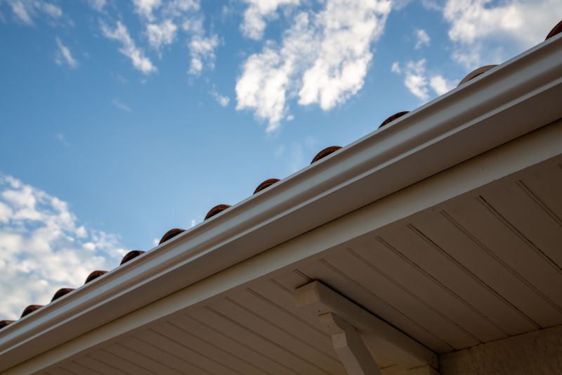 Roof Gutter Replacement